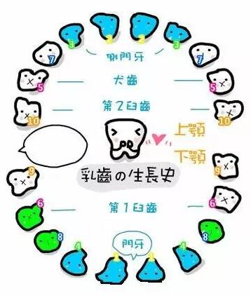 NYC紐約國(guó)際浙江余姚萬達(dá)早教中心：【活動(dòng)回顧】我是小小牙醫(yī)