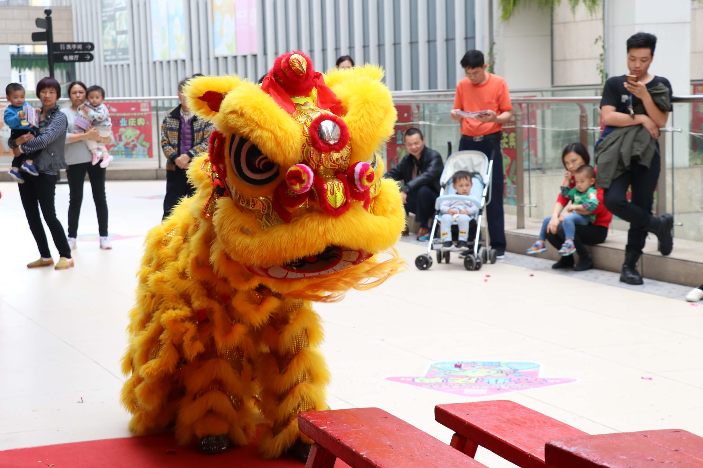 NYC紐約國(guó)際佛山早教中心：【活動(dòng)回顧】醒獅賀歲鬧新春