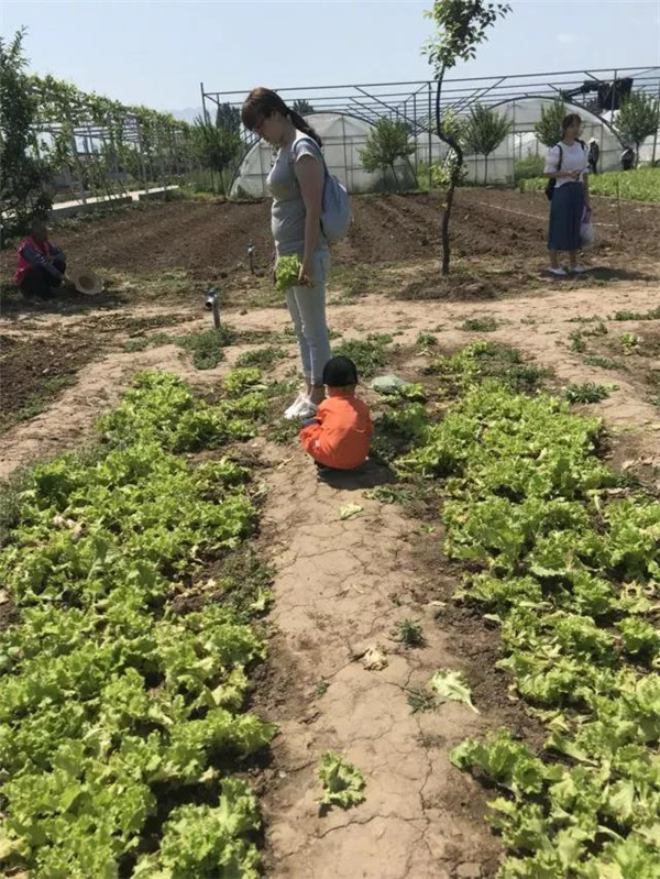 西安高新早教中心