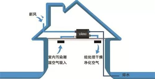 瑞典VARKI凈松新風(fēng)進(jìn)入NYC國際早教