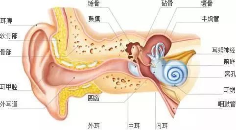 上海早教中心