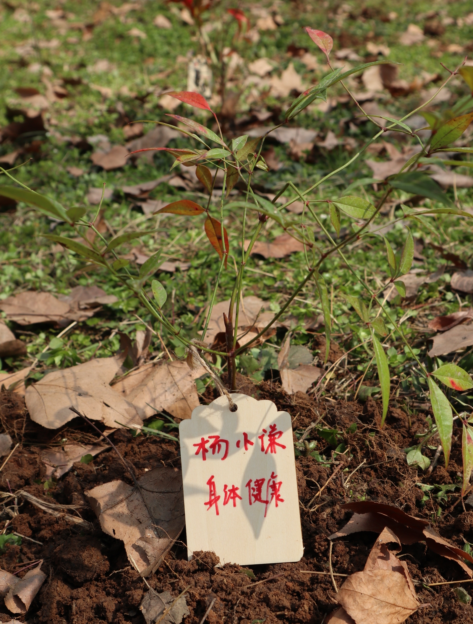 武漢漢陽(yáng)早教中心