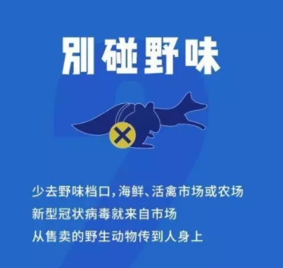 NYC,紐約國(guó)際,上海早教,上海松江中心,早教中心